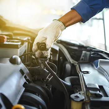 cooling system and radiators